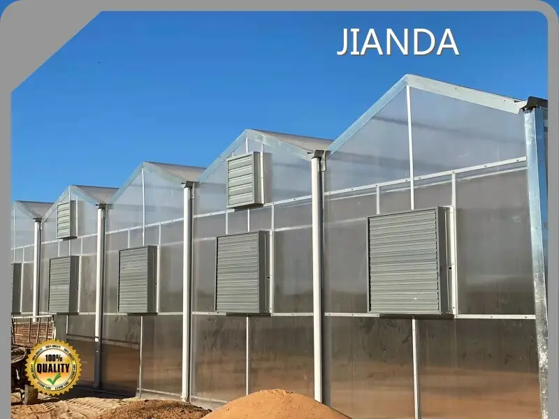 Twinwall Polycarbonate Greenhouse Available by Jianda Greenhouse 1