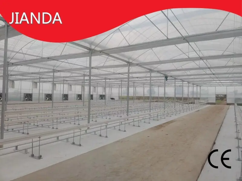Multi Span Greenhouse Structure ISO/CE by Jianda Greenhouse 1