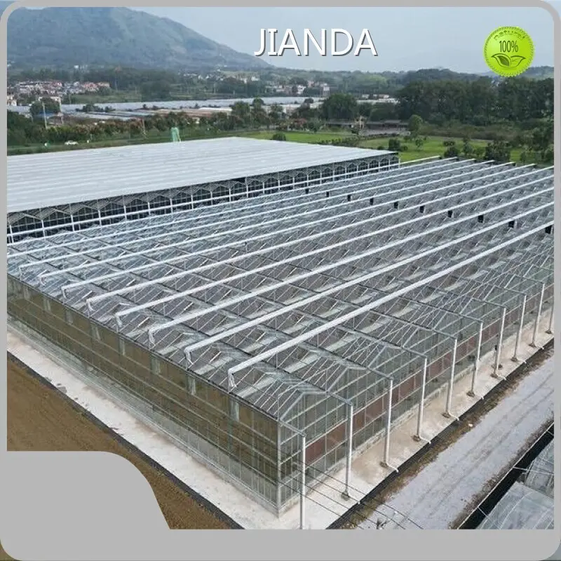 Greenhouse Vegetable Farming JIANDA by Jianda Greenhouse 1