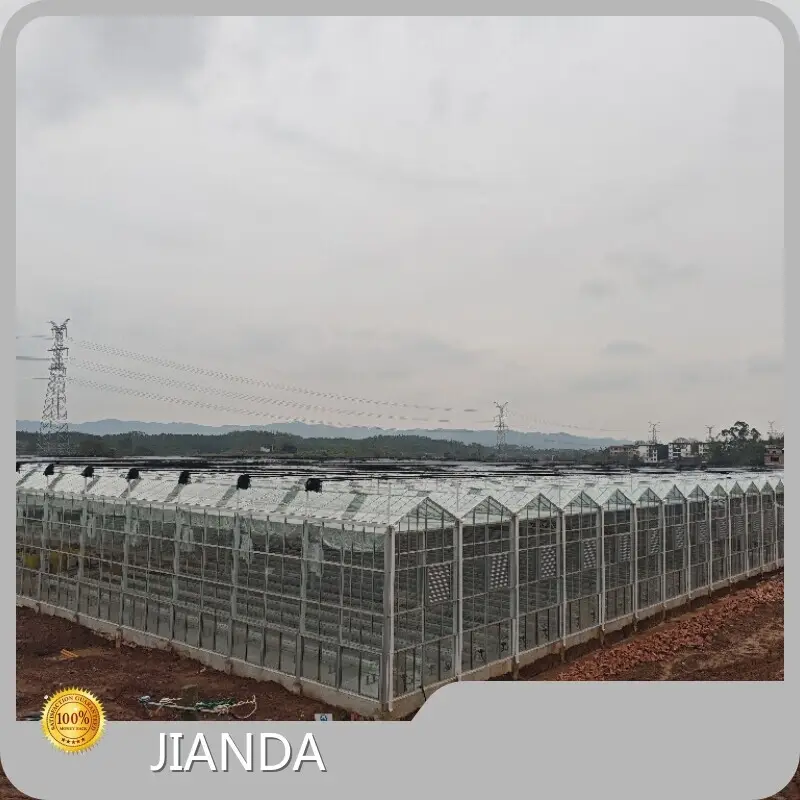 Greenhouse Urban Farming 1500 Square Meter - - Jianda Greenhouse 1