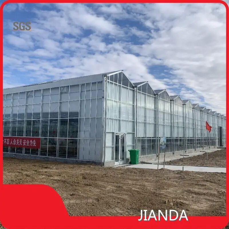 Venlo Glass Greenhouse 1500 Square Meter by Jianda Greenhouse 1