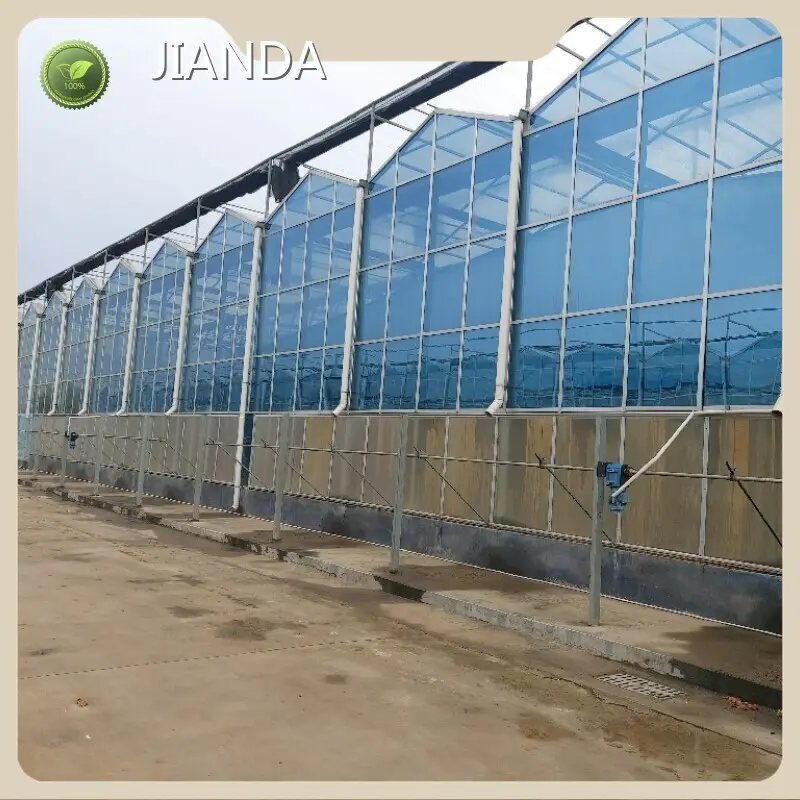 Greenhouses for Sale Cash - - Jianda Greenhouse 1