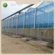 Greenhouses for Sale Cash - - Jianda Greenhouse 1