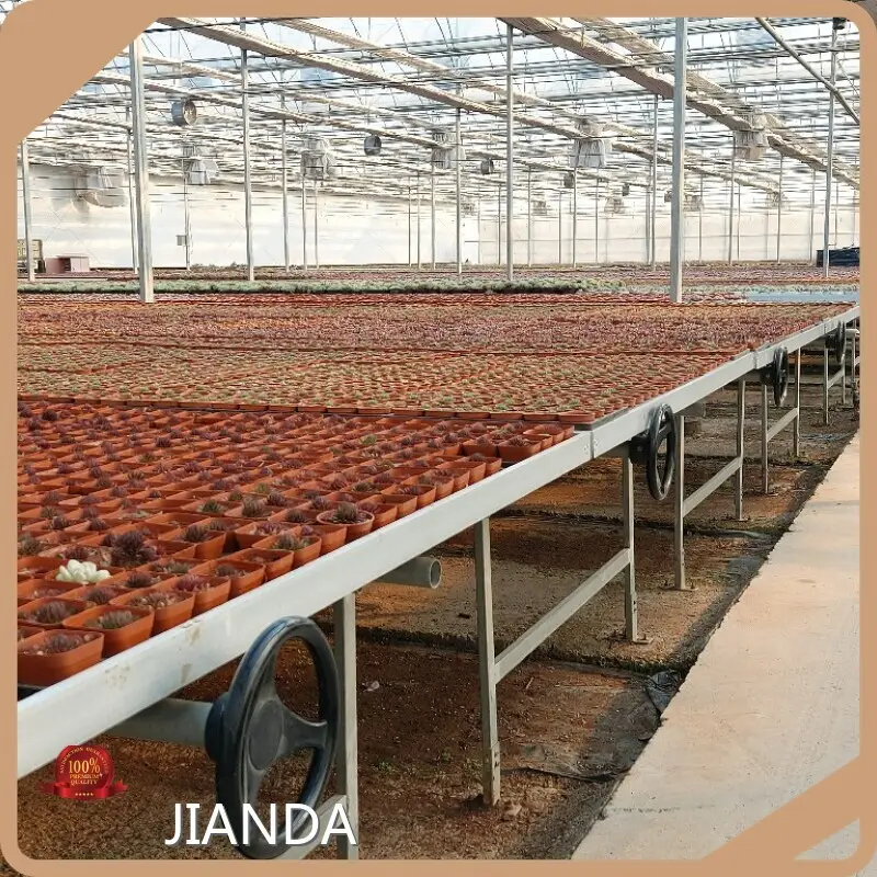 Custom Greenhouses QINGDAO by Jianda Greenhouse-1 1