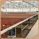 Custom Greenhouses QINGDAO by Jianda Greenhouse-1 1