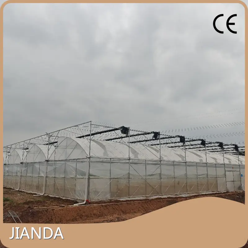 Greenhouses for Sale JIANDA by Jianda Greenhouse-1 1