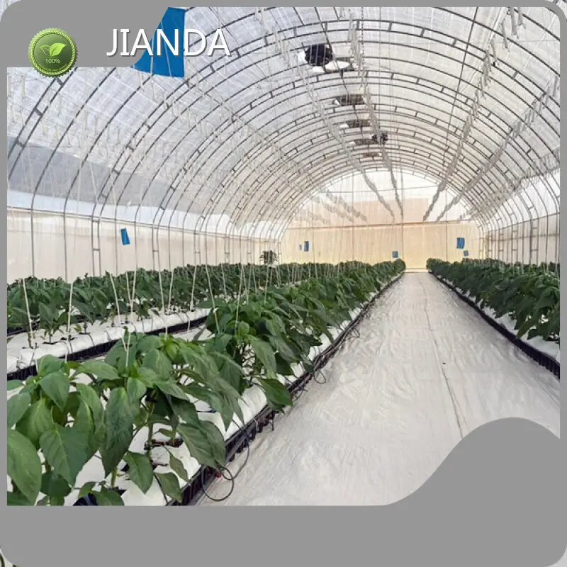 Tunnel Greenhouse for Sale ISO/CE by Jianda Greenhouse 1