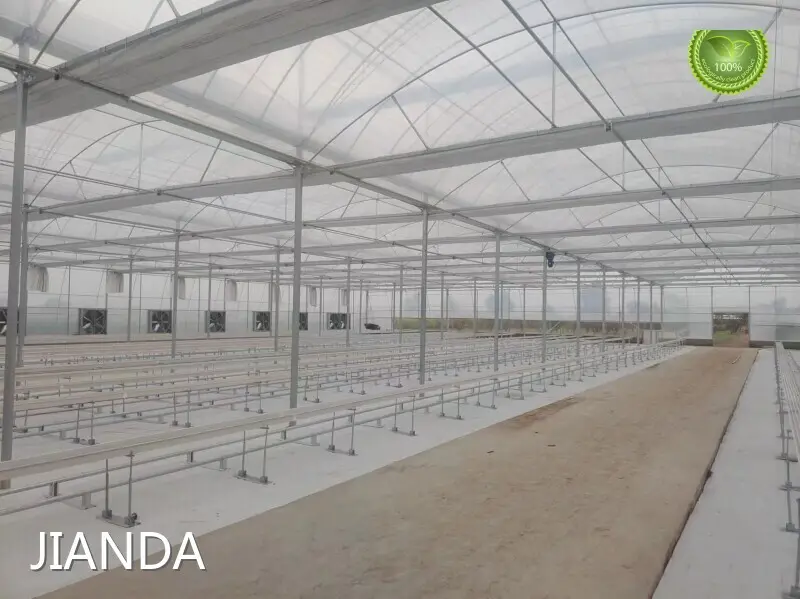 Film Greenhouse ISO/CE by Jianda Greenhouse 1
