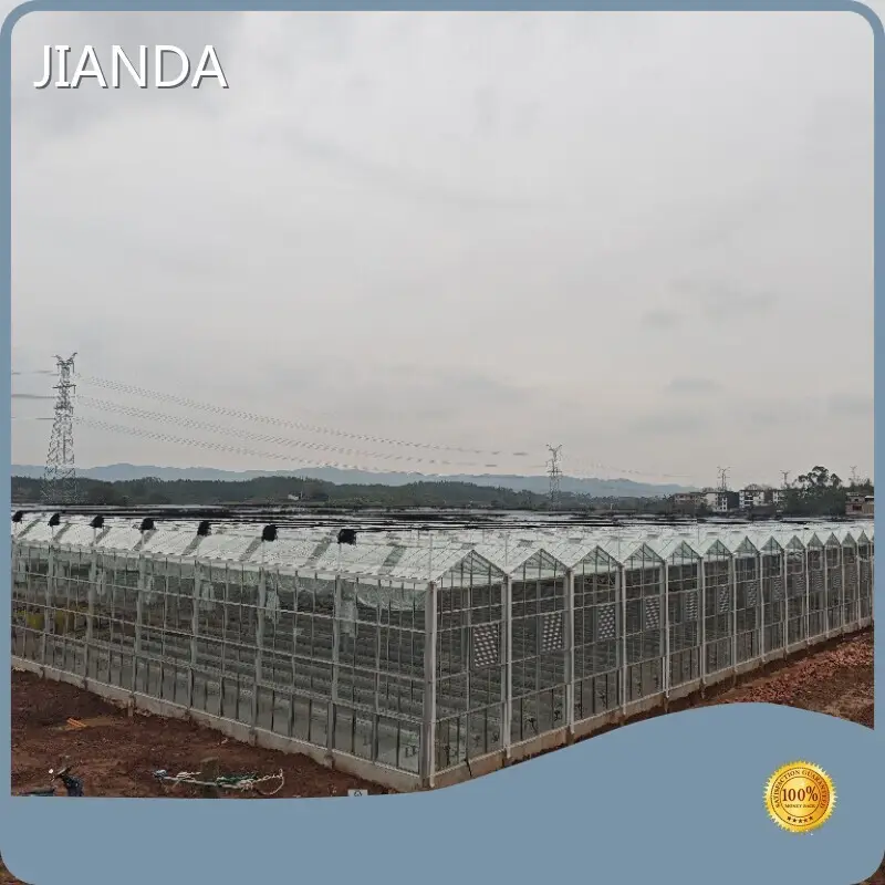 Greenhouses for Sale QINGDAO - - Jianda Greenhouse 1