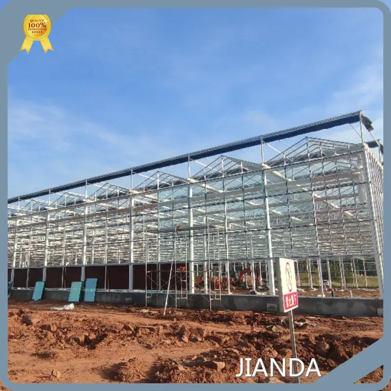 Best Greenhouse for Tomatoes Available - - Jianda Greenhouse-1 1