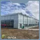 Venlo Greenhouse Structure T/T - - Jianda Greenhouse 1