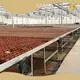 Hydroponic Greenhouse Cost 1500 Square Meter - - Jianda Greenhouse 1