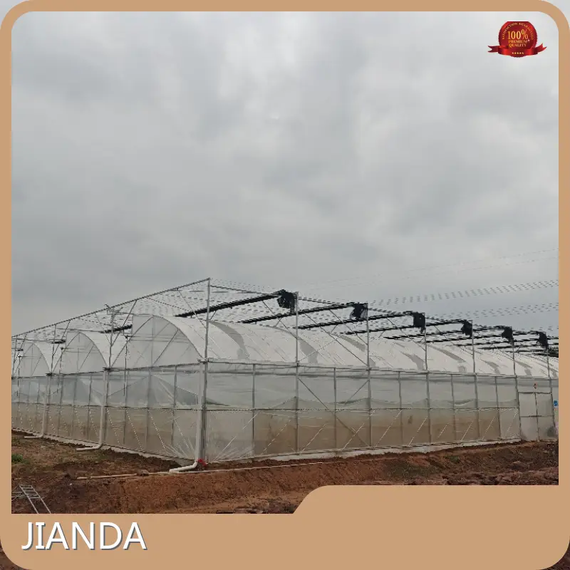 Small Tropical Greenhouse JIANDA by Jianda Greenhouse 1