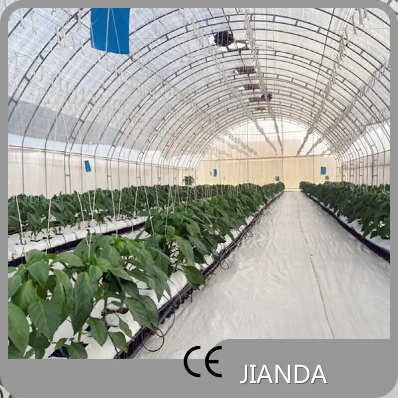 Hoop House Greenhouse JIANDA by Jianda Greenhouse 1