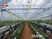 Tropical Rainforest Greenhouse ISO/CE - - Jianda Greenhouse 1