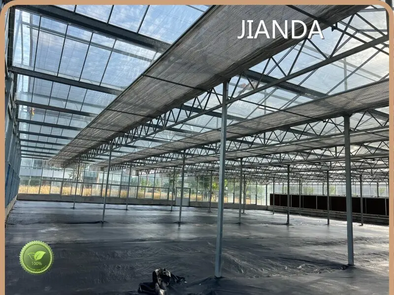 Veggie Greenhouse JIANDA by Jianda Greenhouse 1