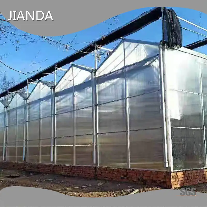 Best Greenhouse for Tomatoes QINGDAO by Jianda Greenhouse 1