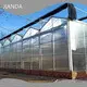 Best Greenhouse for Tomatoes QINGDAO by Jianda Greenhouse 1