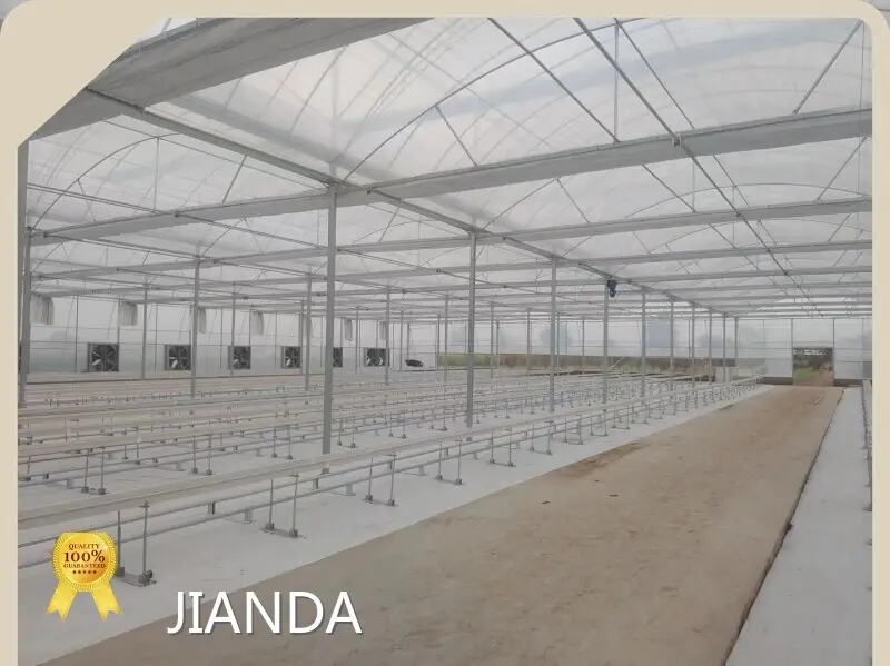 Greenhouses for Sale QINGDAO by Jianda Greenhouse-1 1