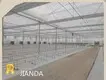 Greenhouses for Sale QINGDAO by Jianda Greenhouse-1 1
