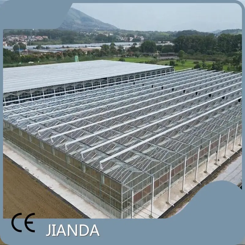 Green House for Agriculture L/C - - Jianda Greenhouse 1