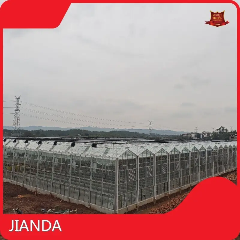 Green House Agriculture Available by Jianda Greenhouse 1