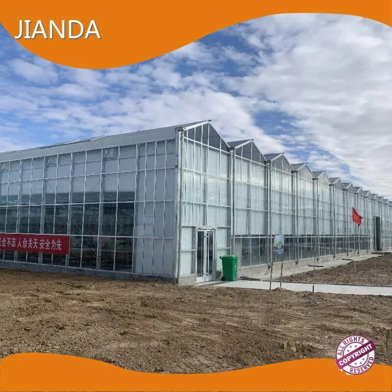 Venlo Style Greenhouse ISO/CE by Jianda Greenhouse 1