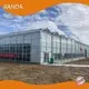 Venlo Style Greenhouse ISO/CE by Jianda Greenhouse 1