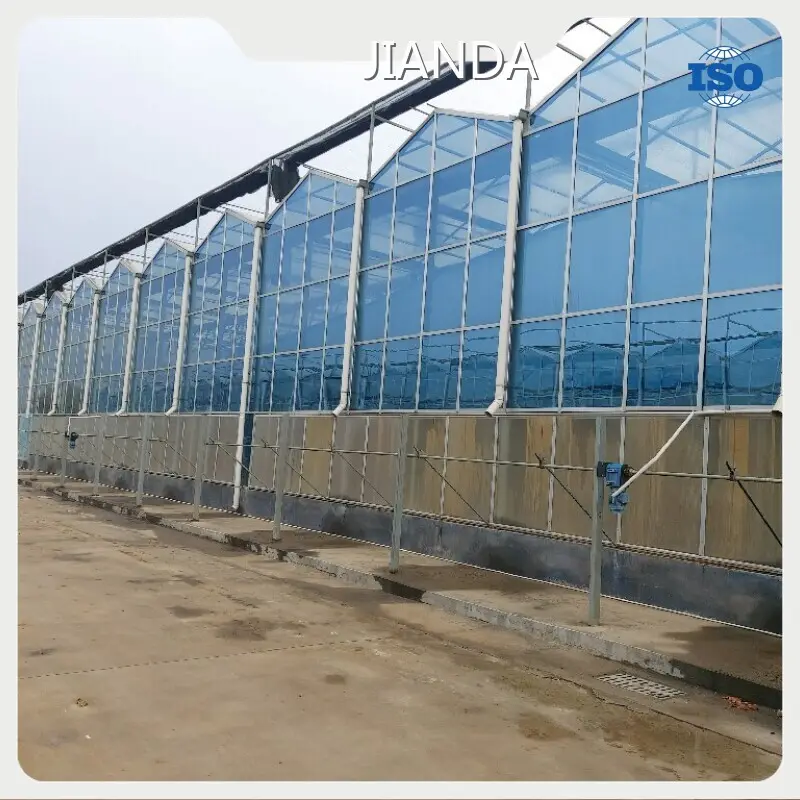 Intelligent Greenhouse Cash - - Jianda Greenhouse 1