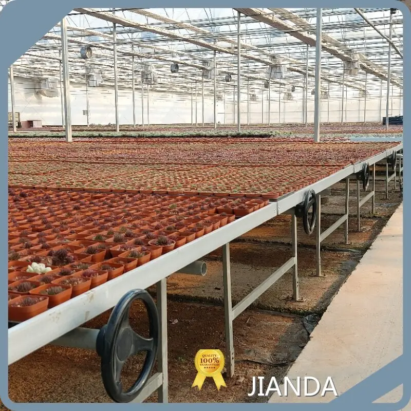 Best Greenhouse for Hydroponics JIANDA - - Jianda Greenhouse 1