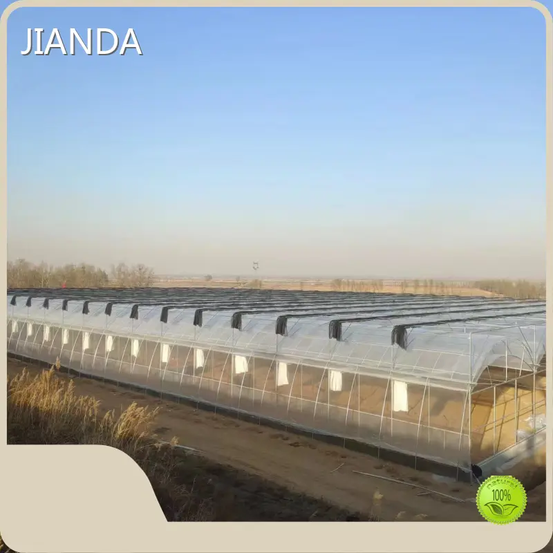 Film Greenhouse Factory Negotiate by Jianda Greenhouse 1