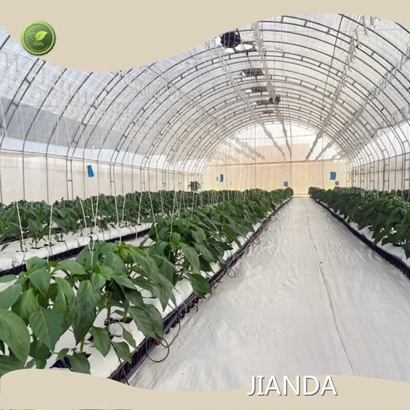 Film Greenhouse Factory 500-1500 Square Meter by Jianda Greenhouse 1