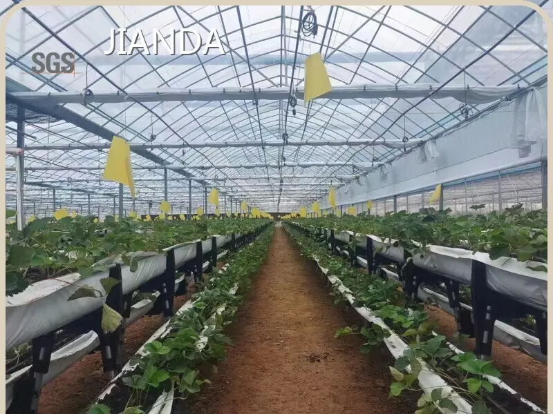 Greenhouse for Tropical Plants Negotiate by Jianda Greenhouse 1
