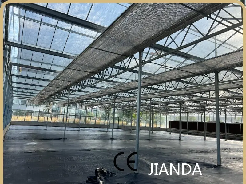 Best Greenhouse for Vegetables Negotiate - - Jianda Greenhouse 1