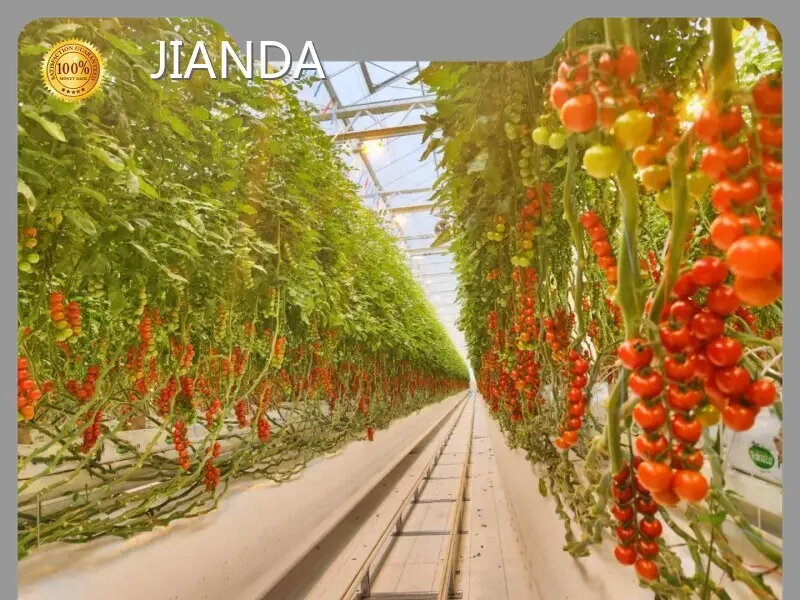 Vertical Hydroponic Greenhouse ISO/CE by Jianda Greenhouse 1