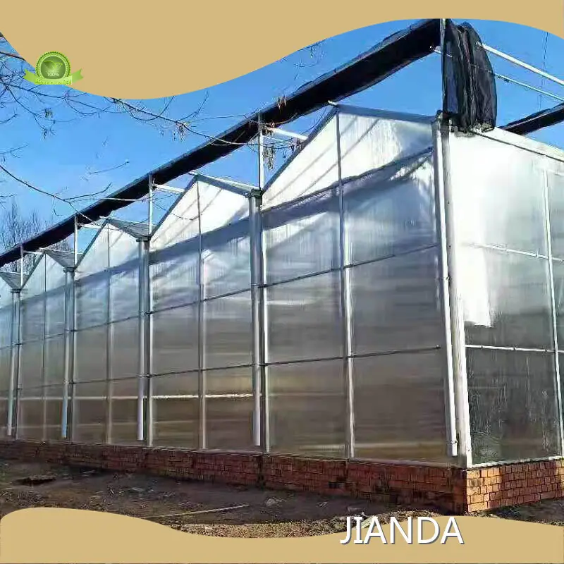 Tomato Greenhouses ISO/CE - - Jianda Greenhouse 1