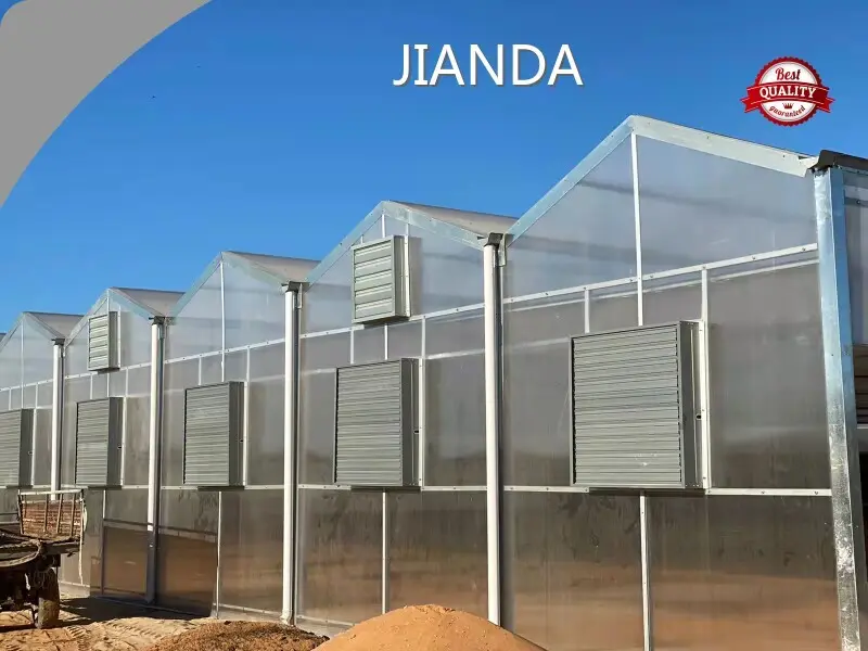 Greenhouses for Sale ISO/CE - - Jianda Greenhouse-1 1