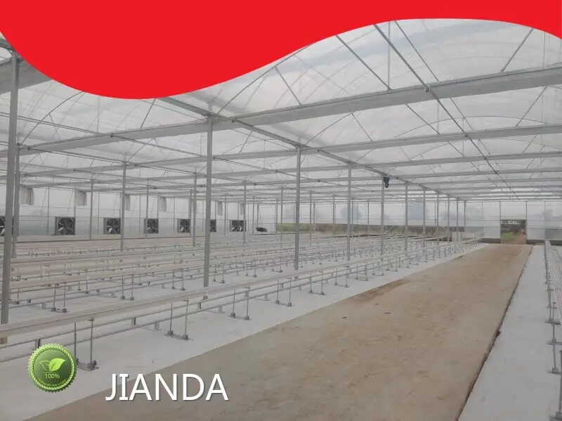 Film Greenhouse Factory 1500 Square Meter - - Jianda Greenhouse 1
