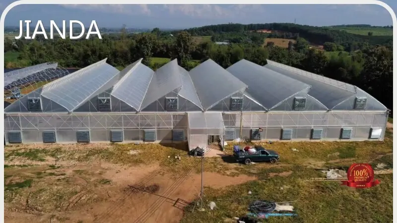 Greenhouse for Tropical Plants JIANDA by Jianda Greenhouse 1