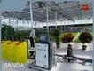 Venlo Greenhouse 1500 Square Meter - - Jianda Greenhouse 1