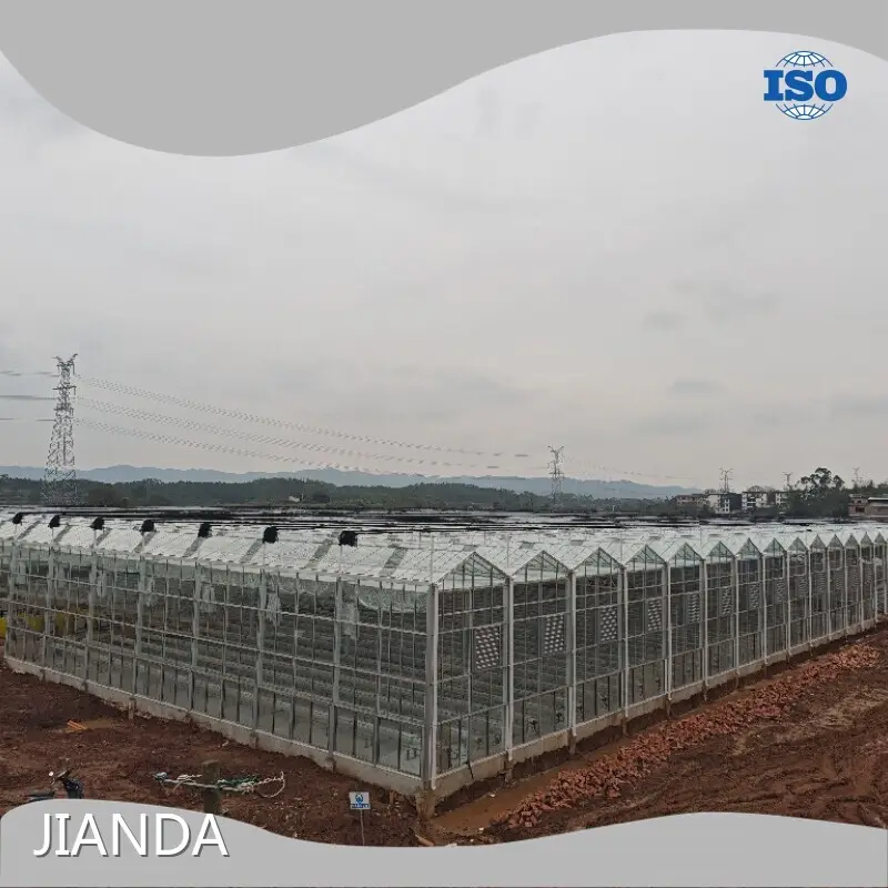Greenhouses for Sale T/T by Jianda Greenhouse 1