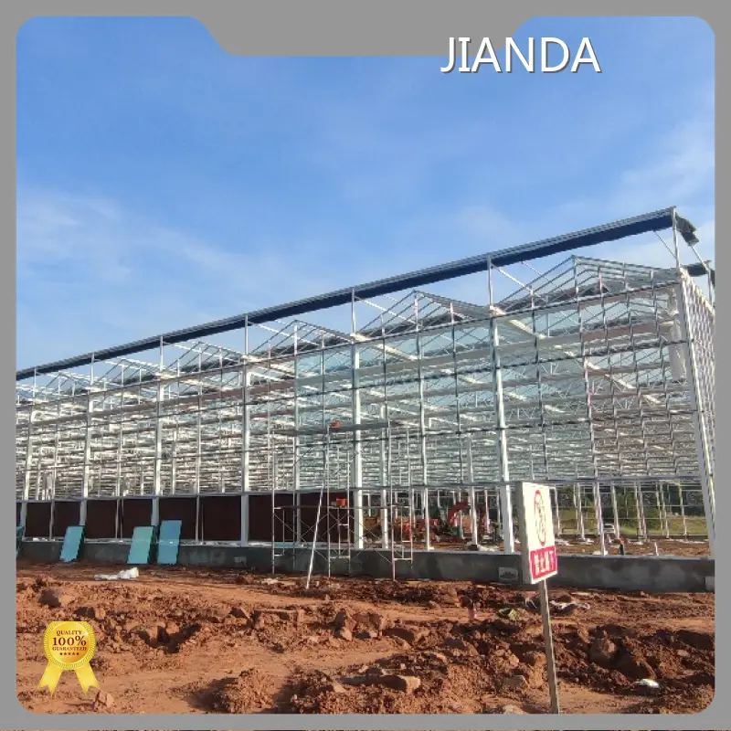 Buy Tomato Greenhouse T/T by Jianda Greenhouse 1