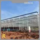 Buy Tomato Greenhouse T/T by Jianda Greenhouse 1
