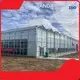 Venlo Greenhouse Design Negotiate by Jianda Greenhouse 1