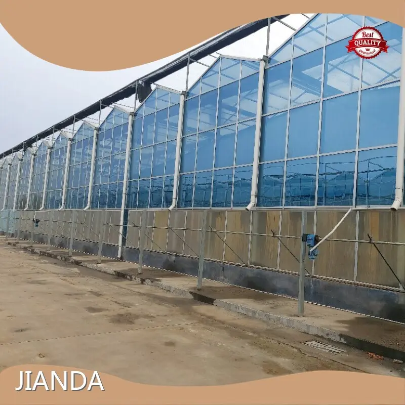 Digital Innovation Greenhouse JIANDA by Jianda Greenhouse 1