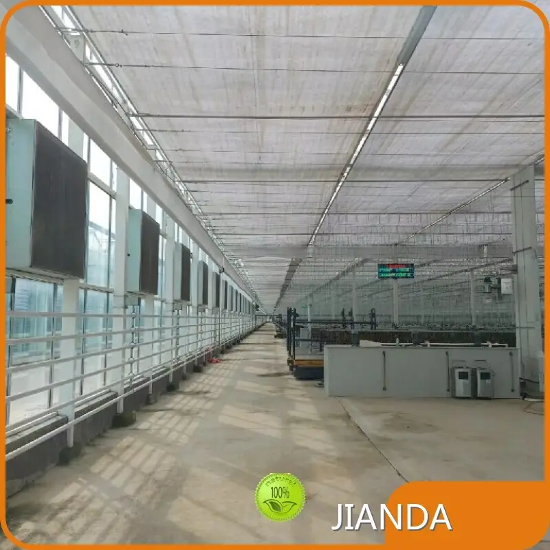 Vegetable Greenhouse QINGDAO by Jianda Greenhouse 1