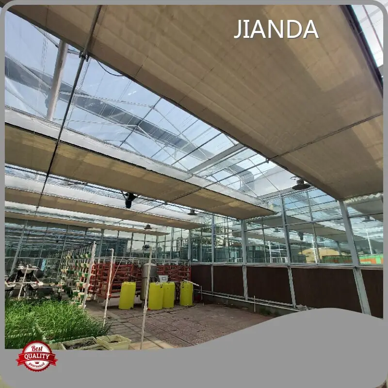 Twin Wall Greenhouse Negotiate by Jianda Greenhouse 1