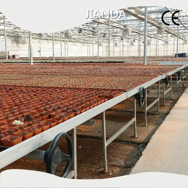Best Hydroponic Greenhouse 1500 Square Meter by Jianda Greenhouse 1