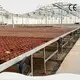 Best Hydroponic Greenhouse 1500 Square Meter by Jianda Greenhouse 1