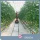 Buy Tomato Greenhouse Negotiate - - Jianda Greenhouse 1